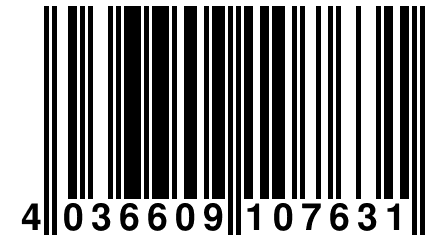 4 036609 107631