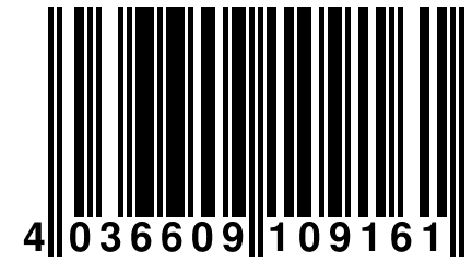 4 036609 109161