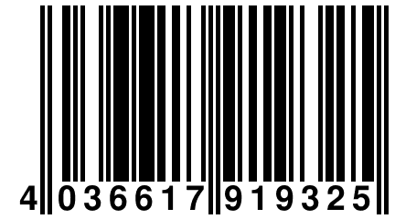 4 036617 919325