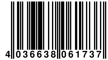 4 036638 061737