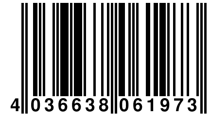 4 036638 061973