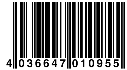 4 036647 010955