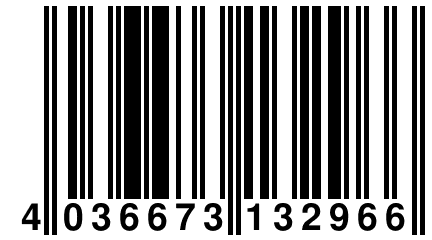 4 036673 132966