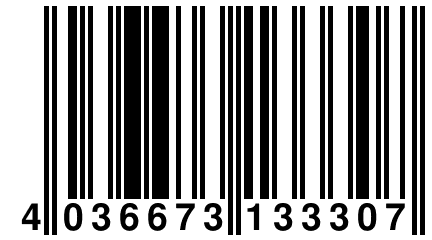 4 036673 133307