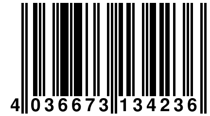 4 036673 134236