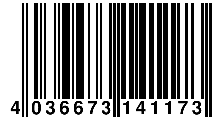 4 036673 141173