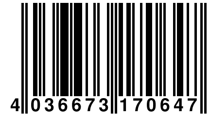 4 036673 170647