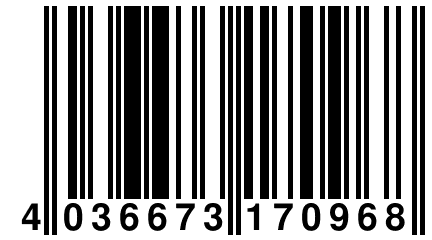 4 036673 170968