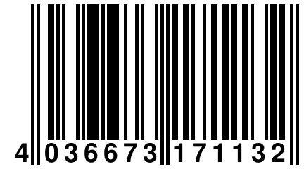 4 036673 171132