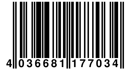 4 036681 177034