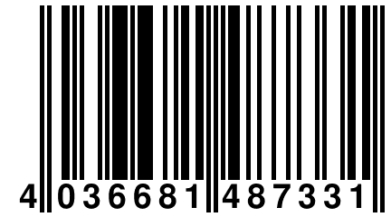 4 036681 487331