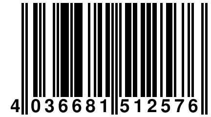 4 036681 512576