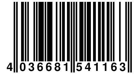 4 036681 541163