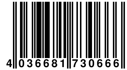 4 036681 730666