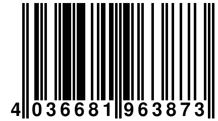 4 036681 963873