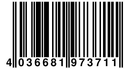 4 036681 973711