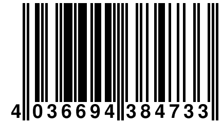 4 036694 384733