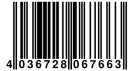 4 036728 067663