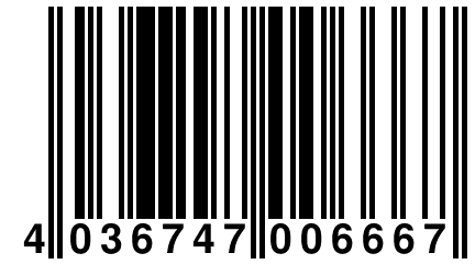 4 036747 006667