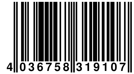 4 036758 319107