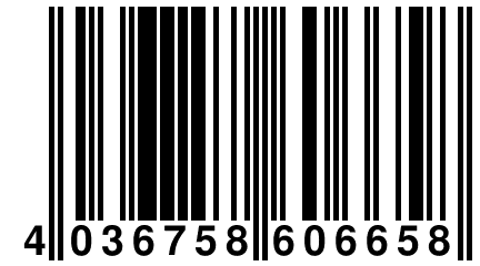 4 036758 606658