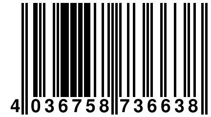 4 036758 736638