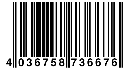 4 036758 736676