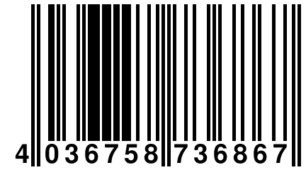 4 036758 736867