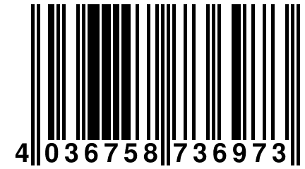 4 036758 736973