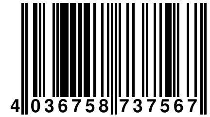 4 036758 737567