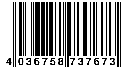 4 036758 737673