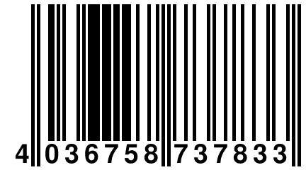 4 036758 737833