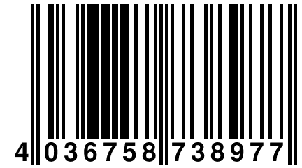 4 036758 738977