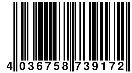 4 036758 739172