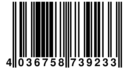 4 036758 739233