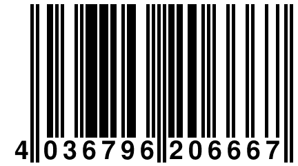 4 036796 206667