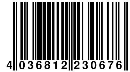 4 036812 230676