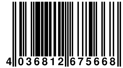 4 036812 675668