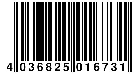 4 036825 016731