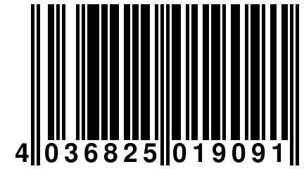 4 036825 019091