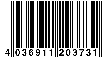 4 036911 203731