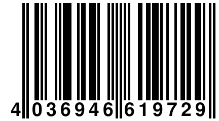 4 036946 619729