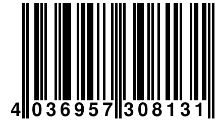 4 036957 308131