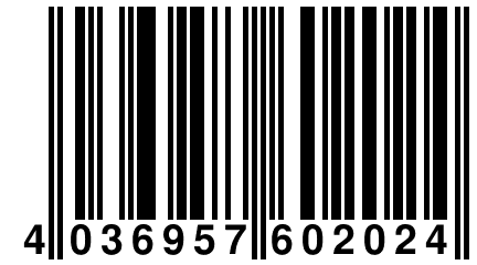 4 036957 602024