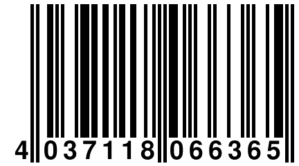 4 037118 066365