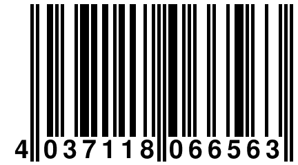 4 037118 066563