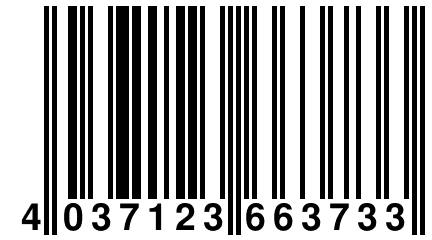 4 037123 663733