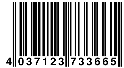 4 037123 733665