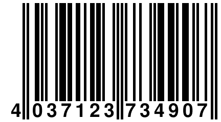 4 037123 734907