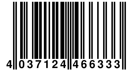 4 037124 466333